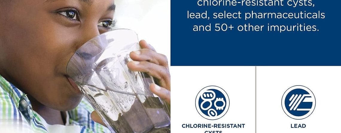 role of water in kidney