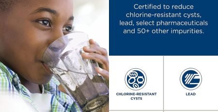 role of water in kidney